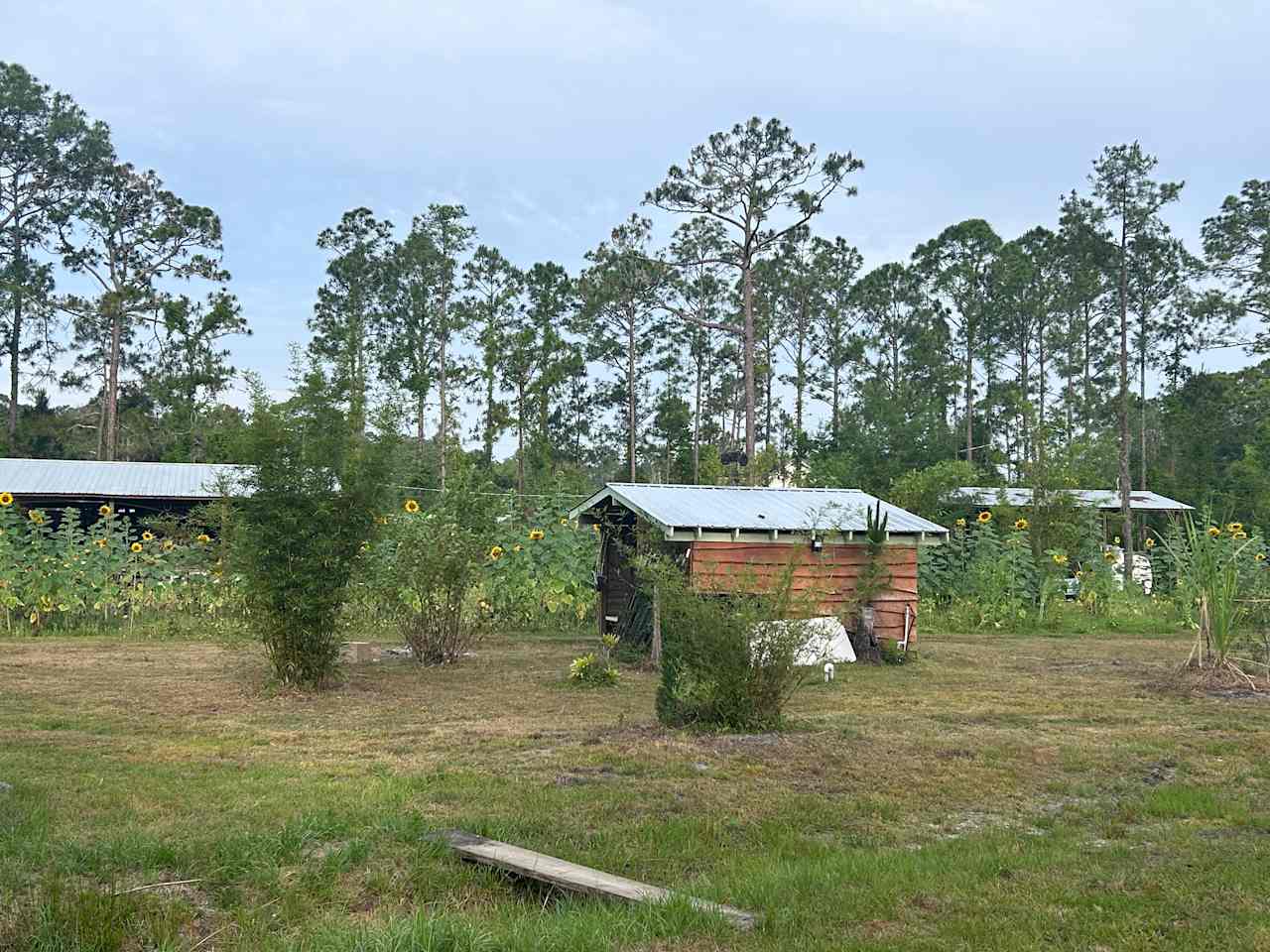 Cozy Freedom at Earthperks Farm