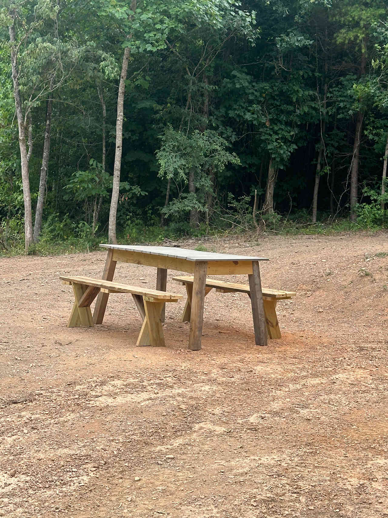 Table with 2 benches