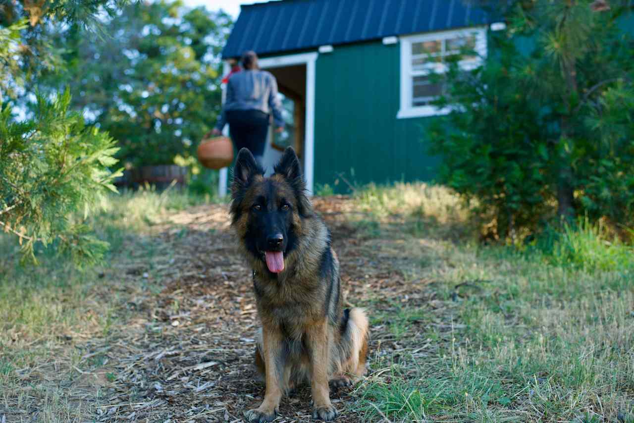 Howling Acres Ranch