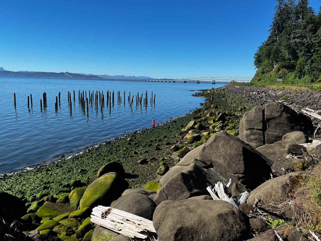 Exploring low tide