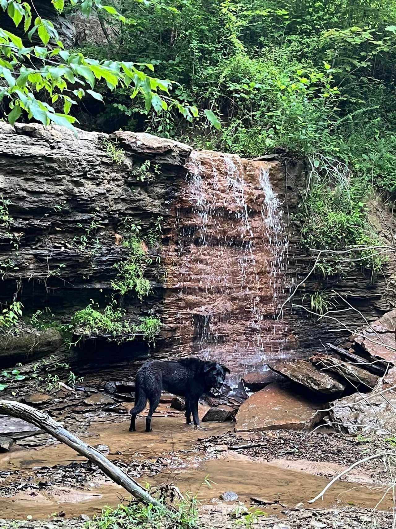 0.5 mile hike (one way)  to waterfall