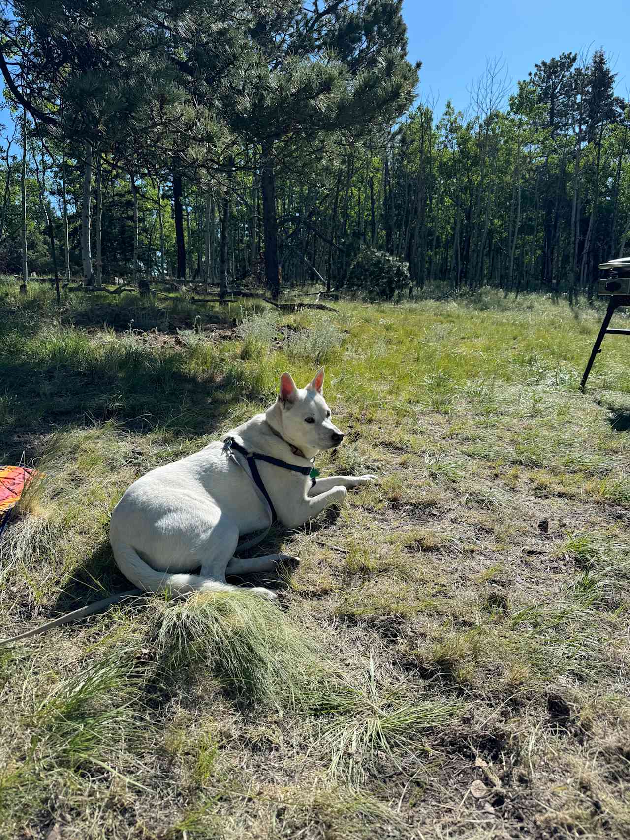 Aspen Valley Campground