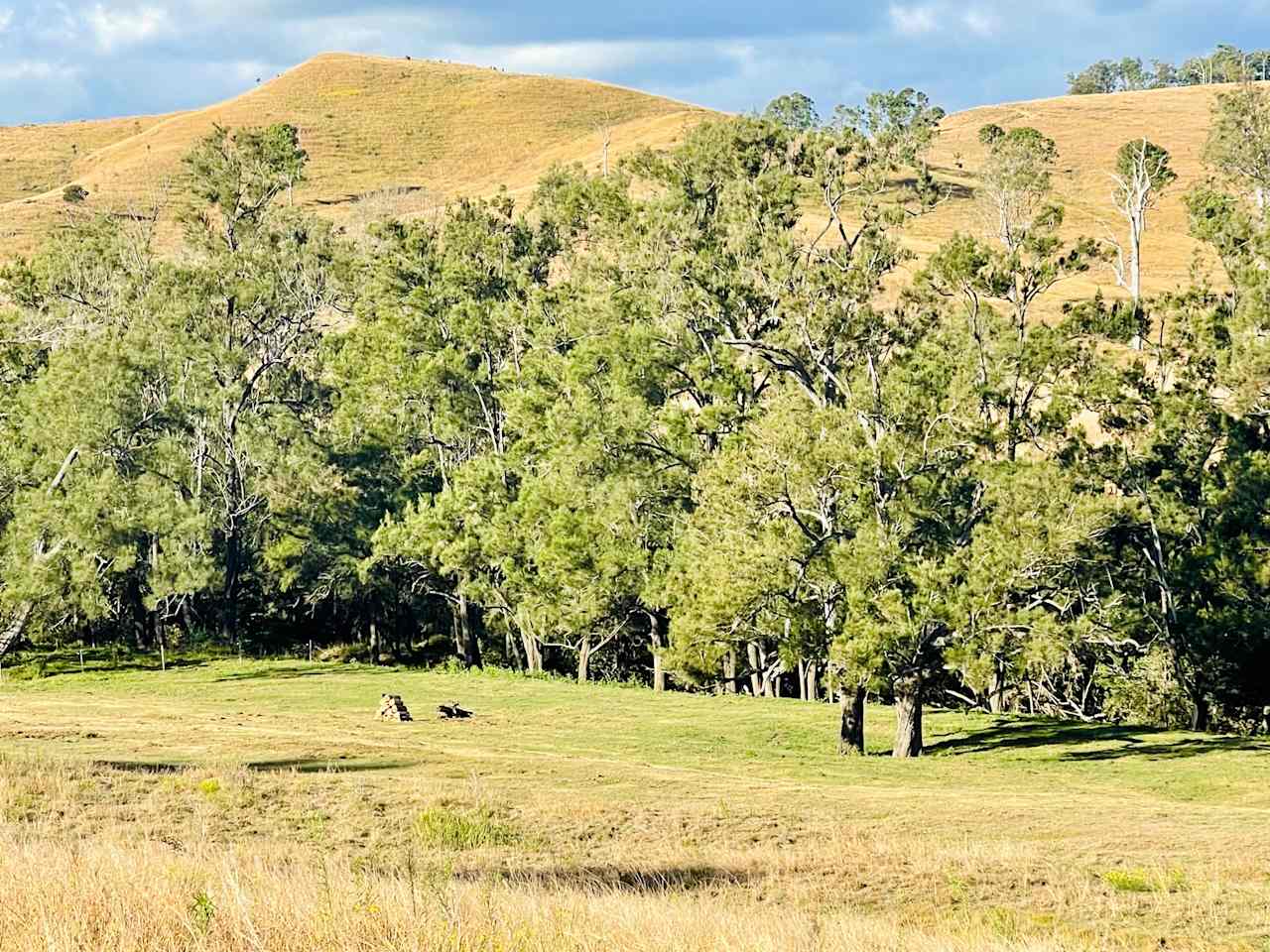 Juburra Country Camping