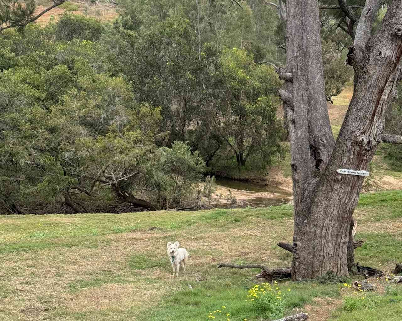 Juburra Country Camping