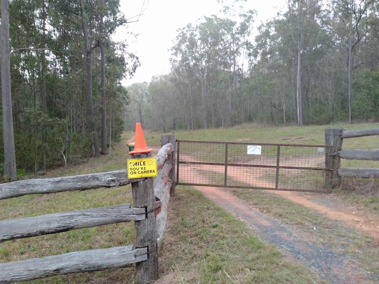 Koala Camp