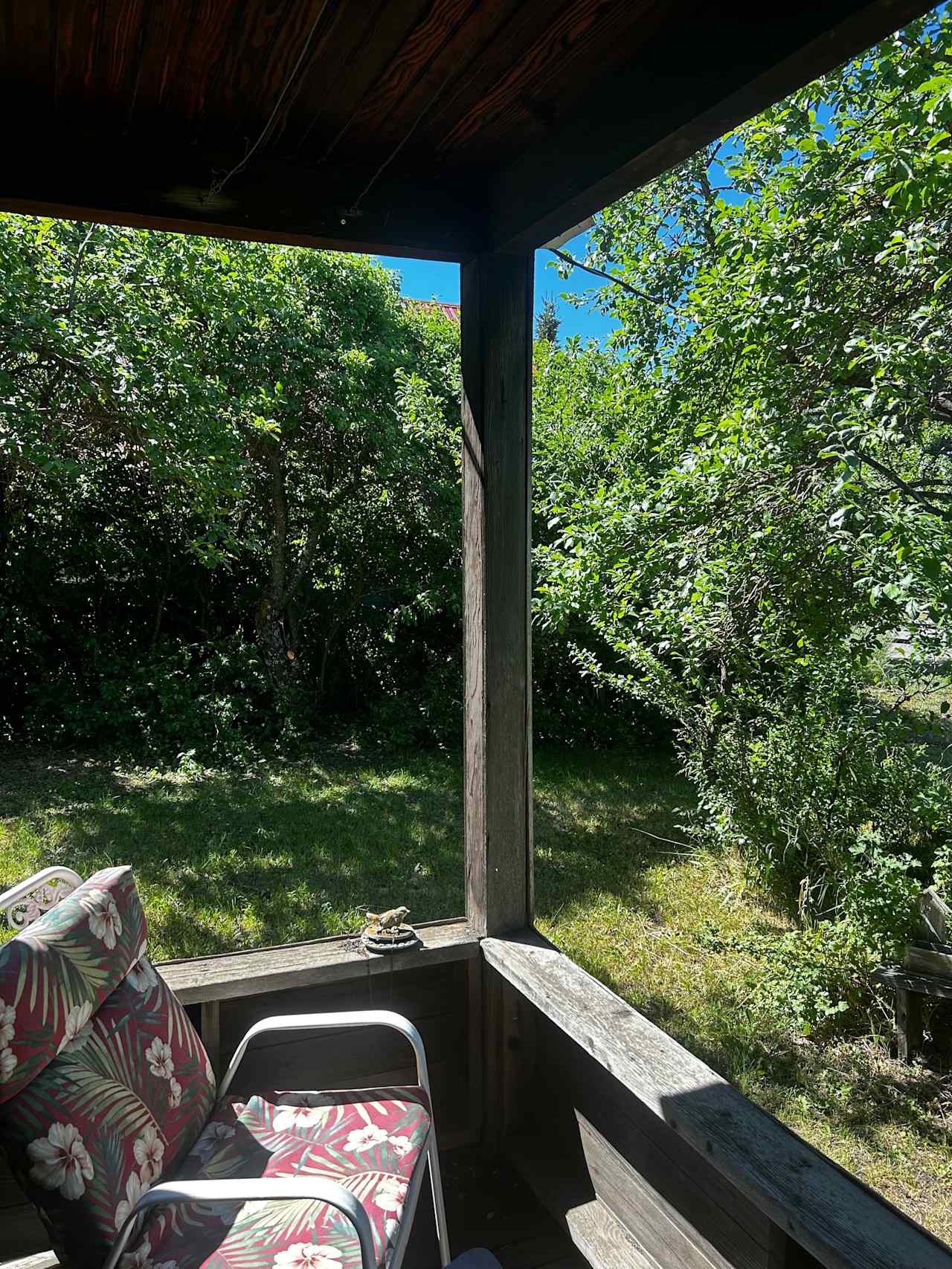 Enjoy the tranquility of the old front porch surrounded by shady heirloom fruit trees.  We don’t spray the property, so you can enjoy the fruit right off the tree. 