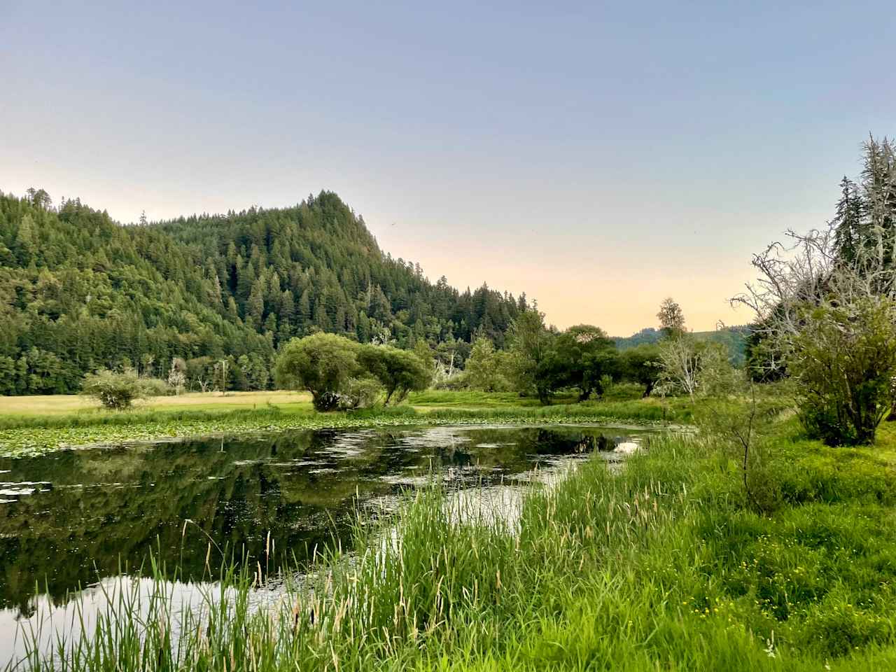 The Park at Loon Lake