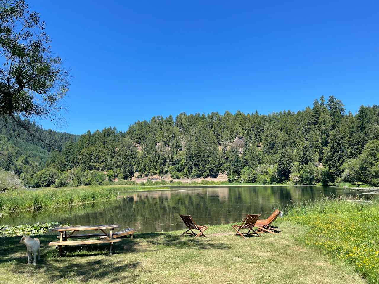 The Park at Loon Lake