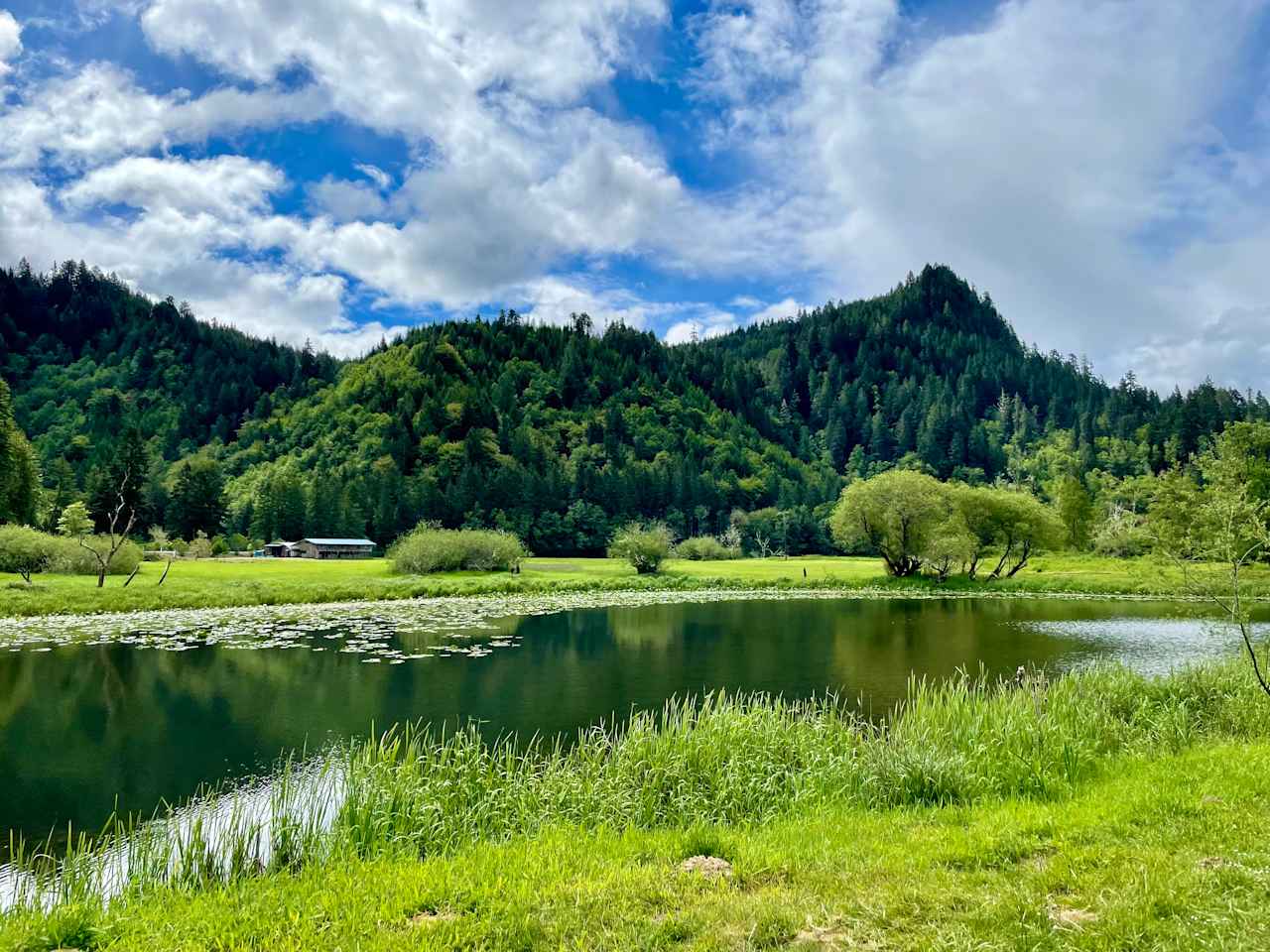 The Park at Loon Lake