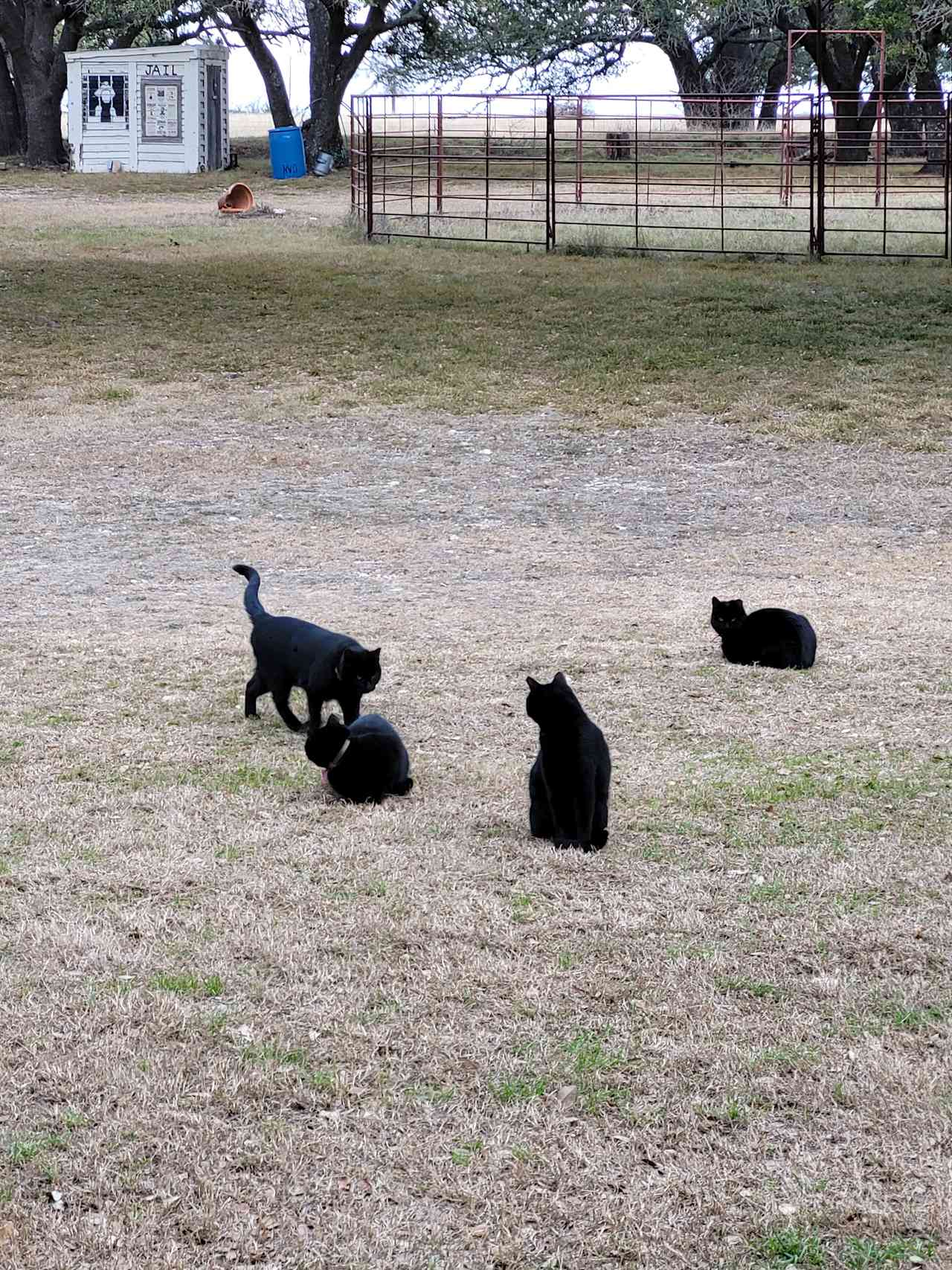 Sappho Ranch