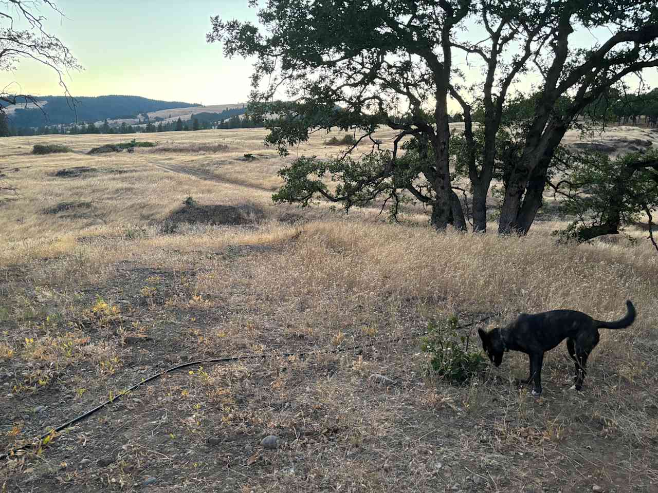 Harvest Haven Campground