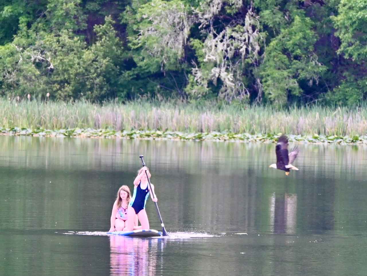 The Park at Loon Lake