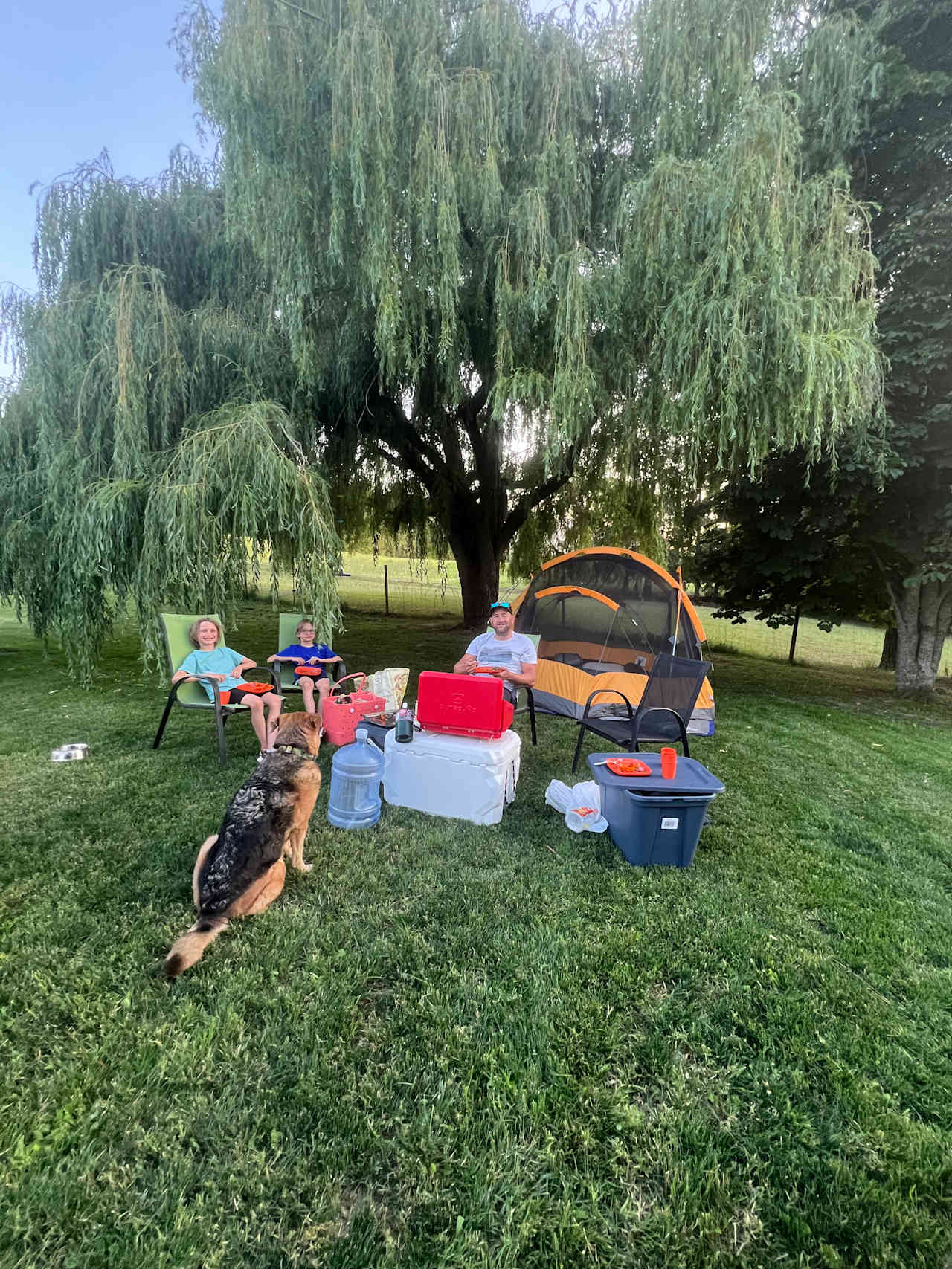 The perfect spot for our tent and our dogs!