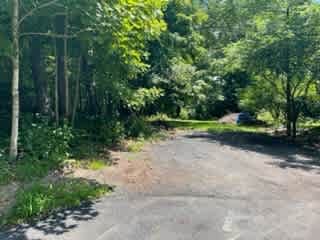 Woodland Sanctuary In Western Mass