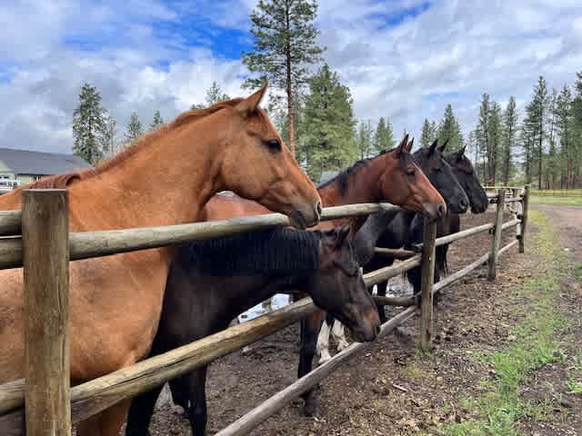 Reflection Creek Ranch