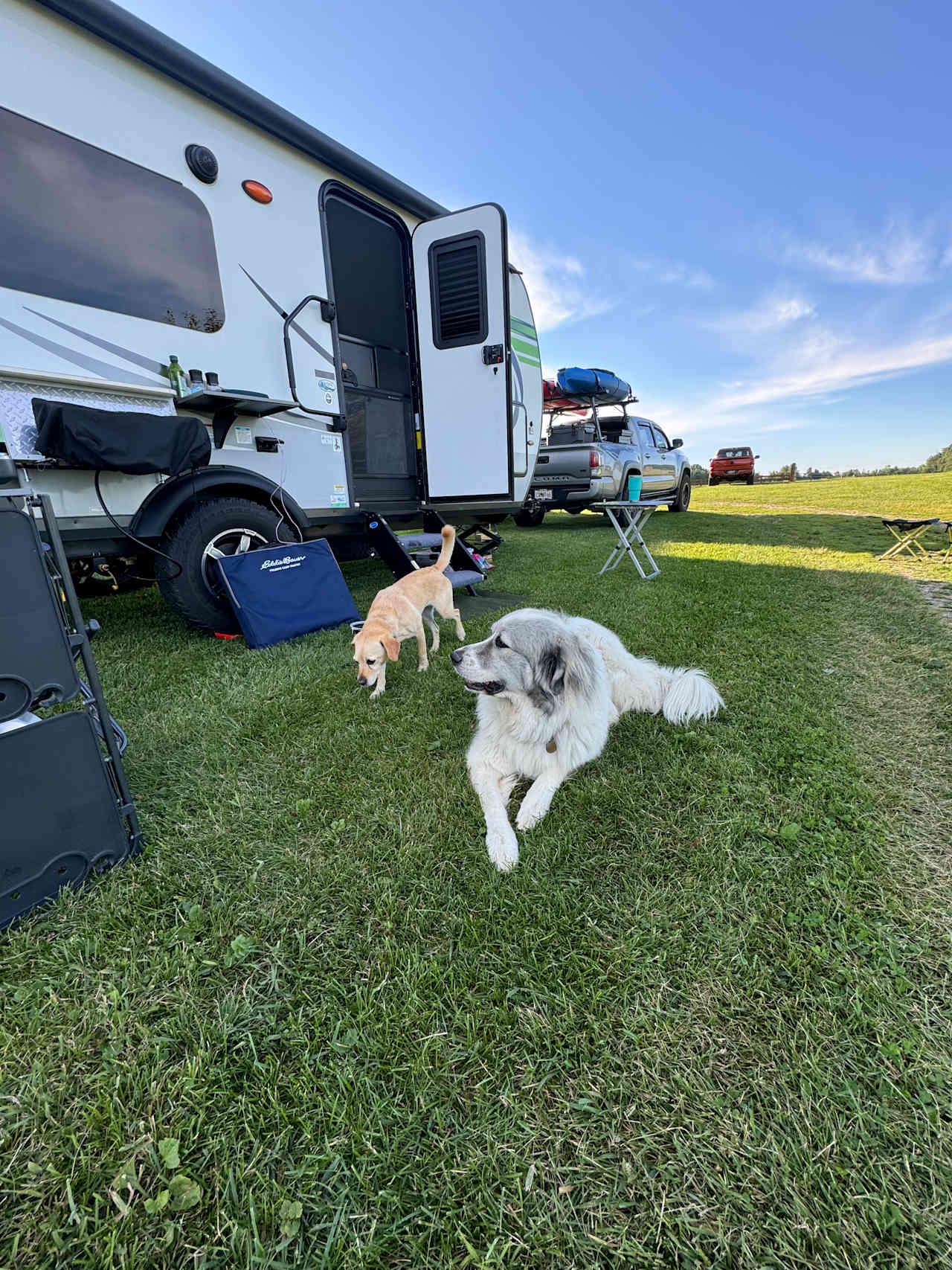 Camping on our Organic Farm