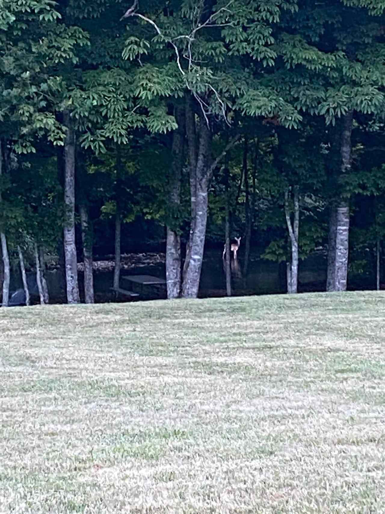Riverside At TimberRidge