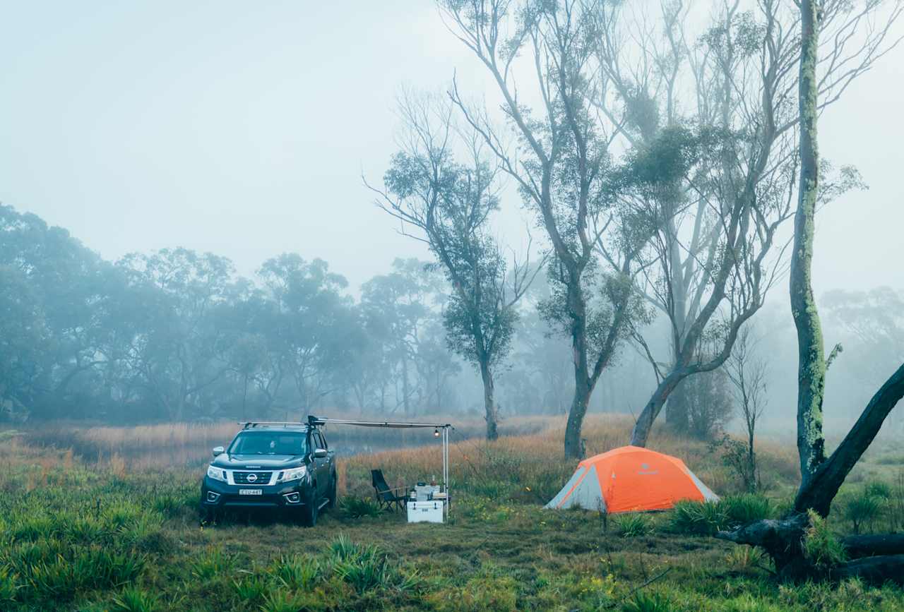 morning fog at the camp