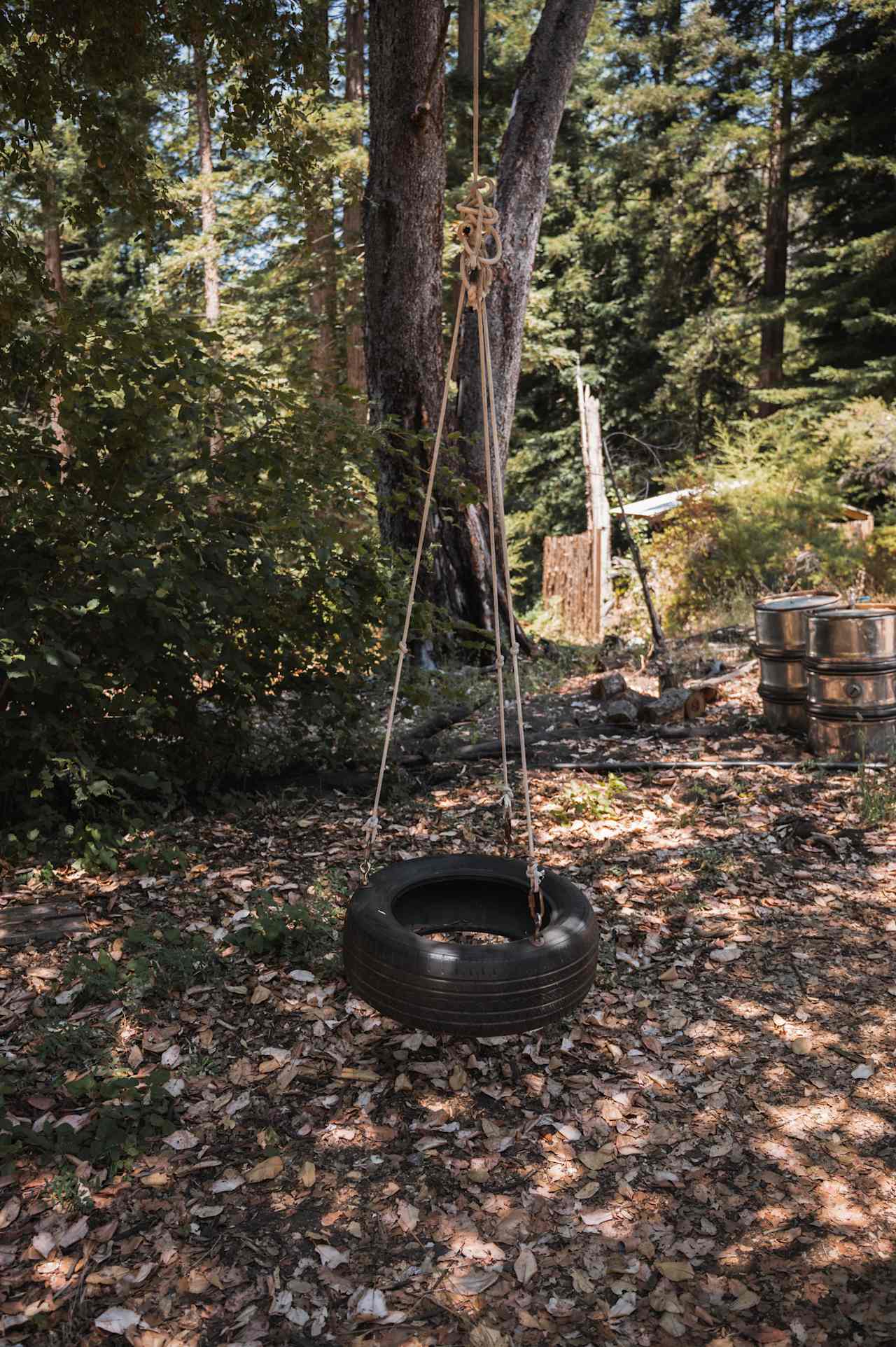 fun tire swing to play on