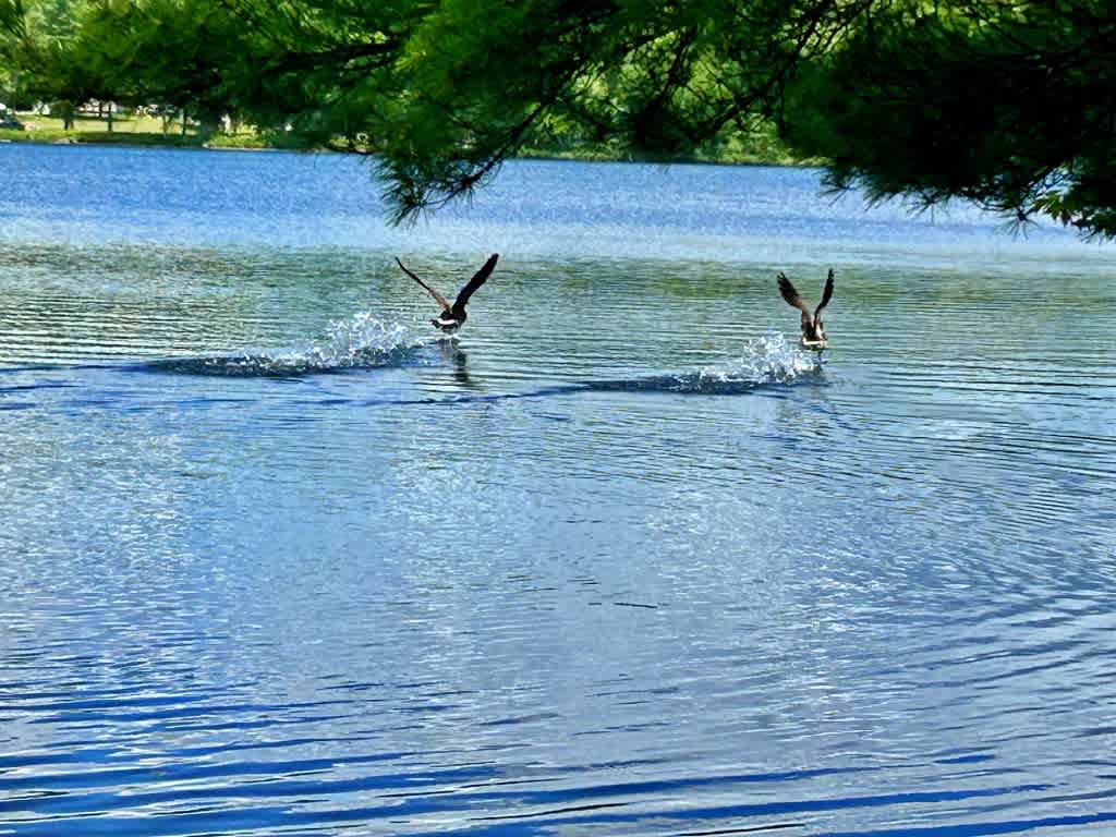 Ashland Lake Retreats At Grant Lake