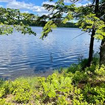 Ashland Lake Retreats At Grant Lake