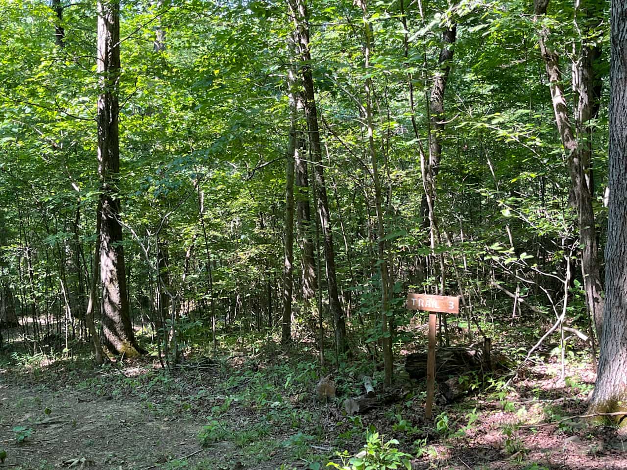 Hideaway Hills Primitive Camp