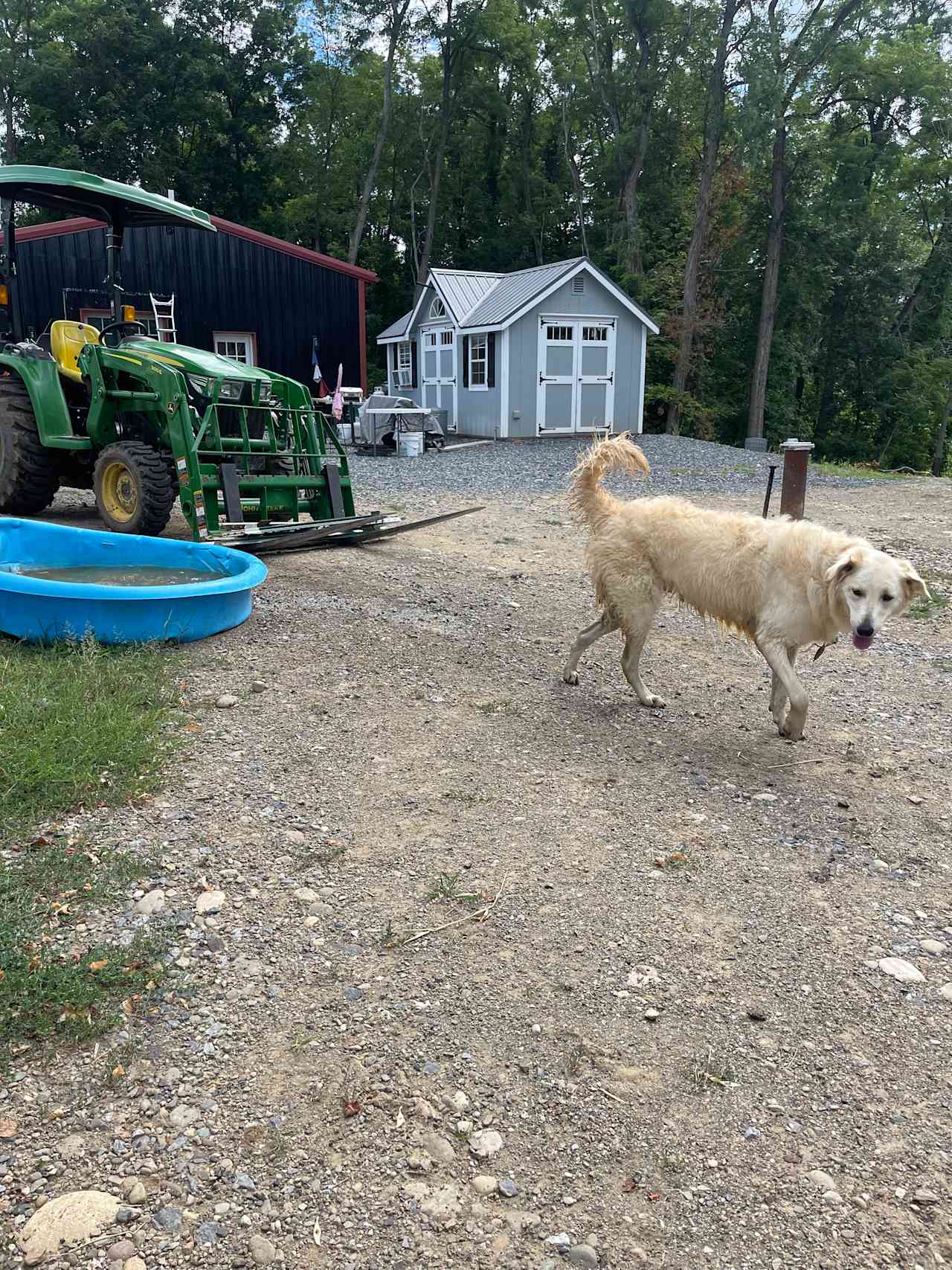 Liberty Farm On Turkey Hill