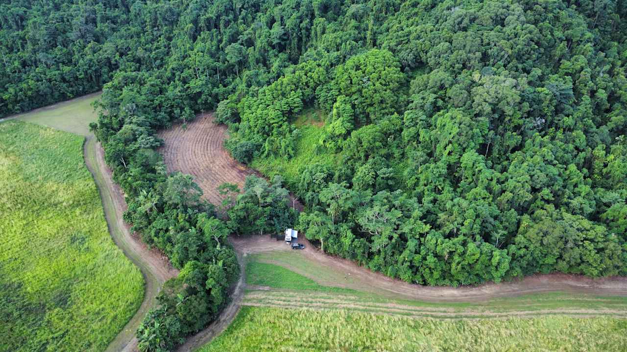 Aloomba Homestead (Tropical Qld)