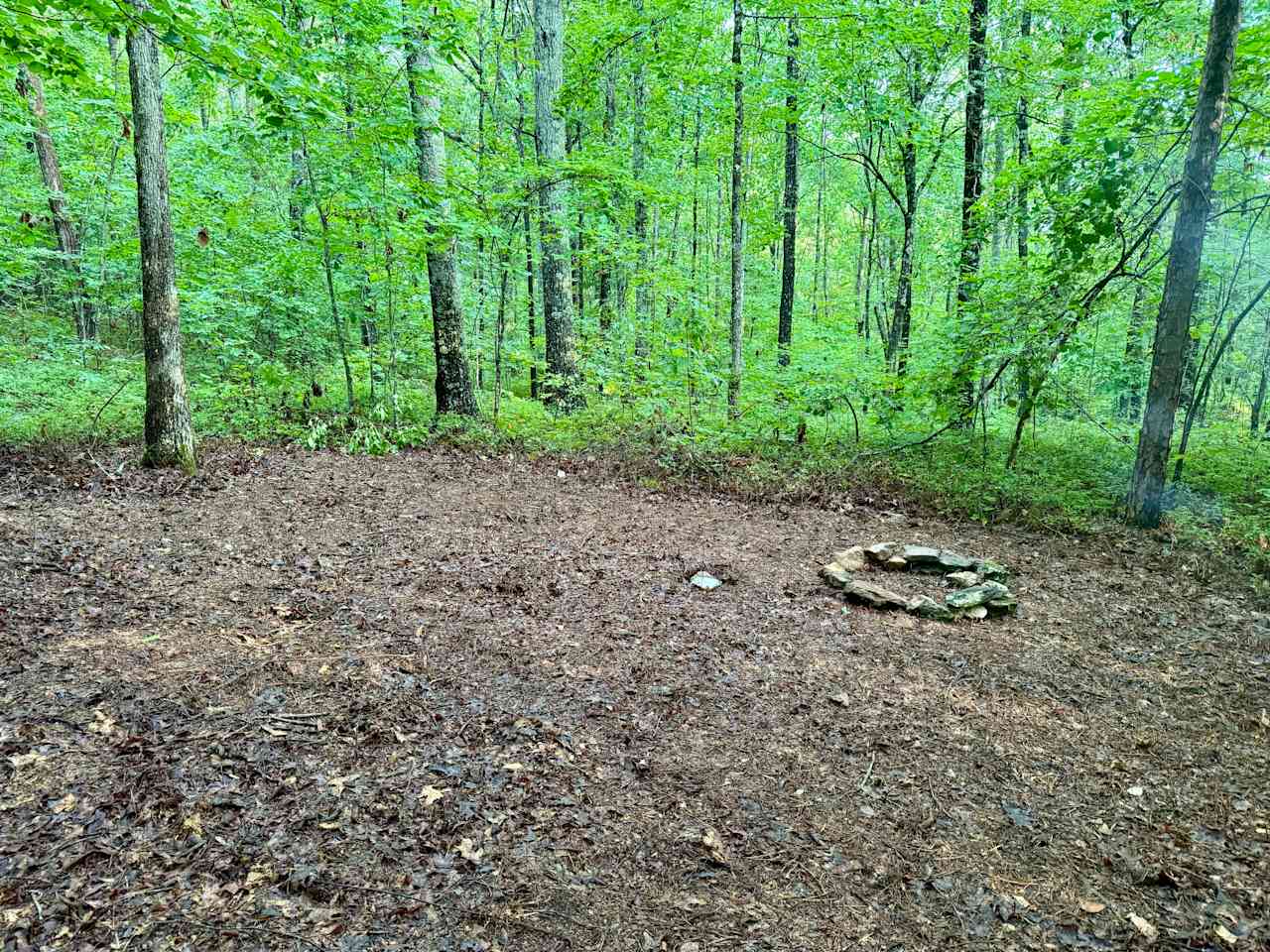 Hidden Branch Campground
