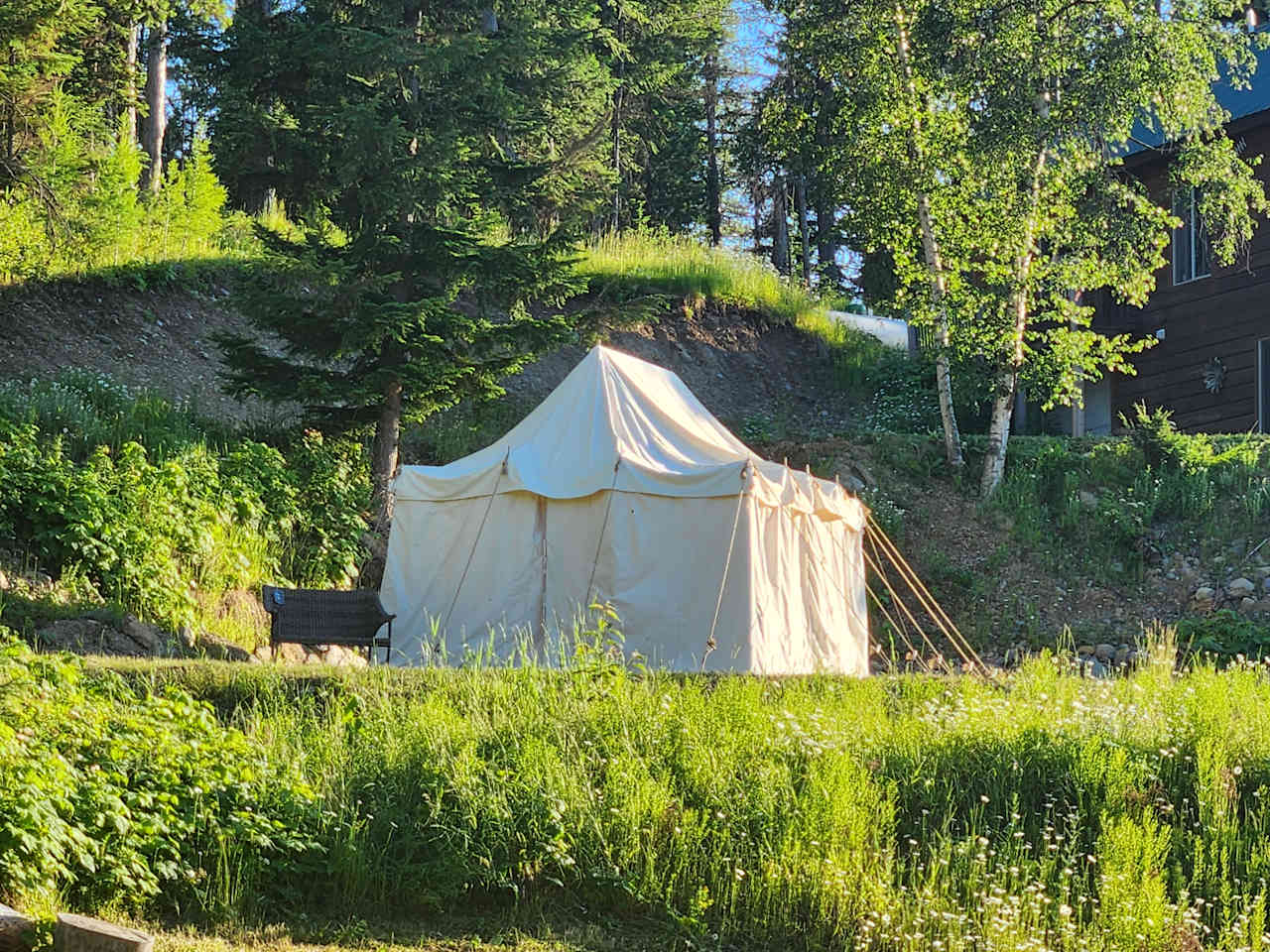 The Wild Daisy at Desert Base Camp