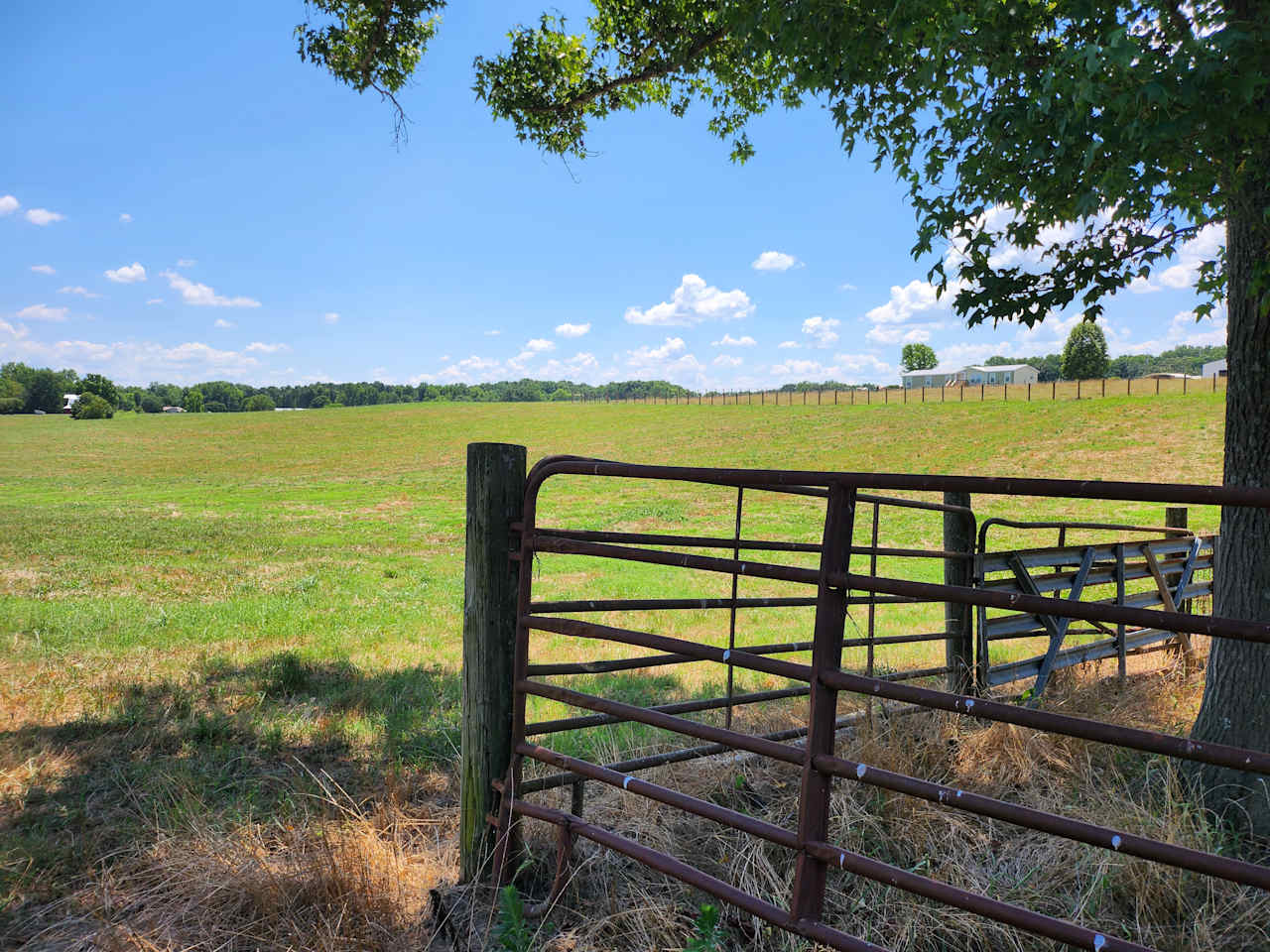 High Heifer Draft Farm