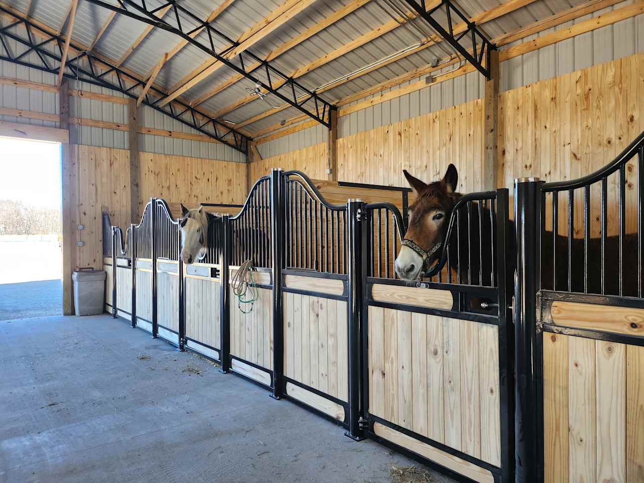 High Heifer Draft Farm