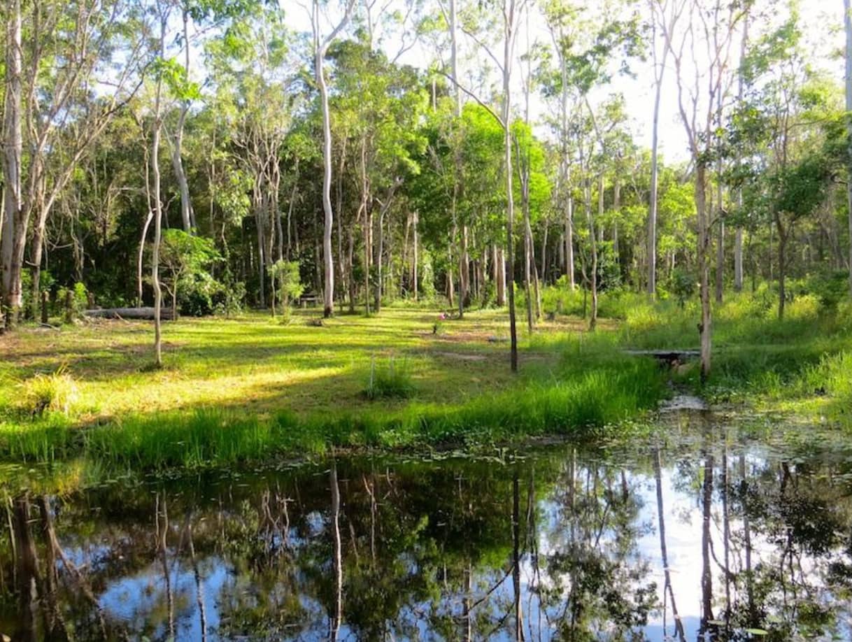 Birder's Billabong