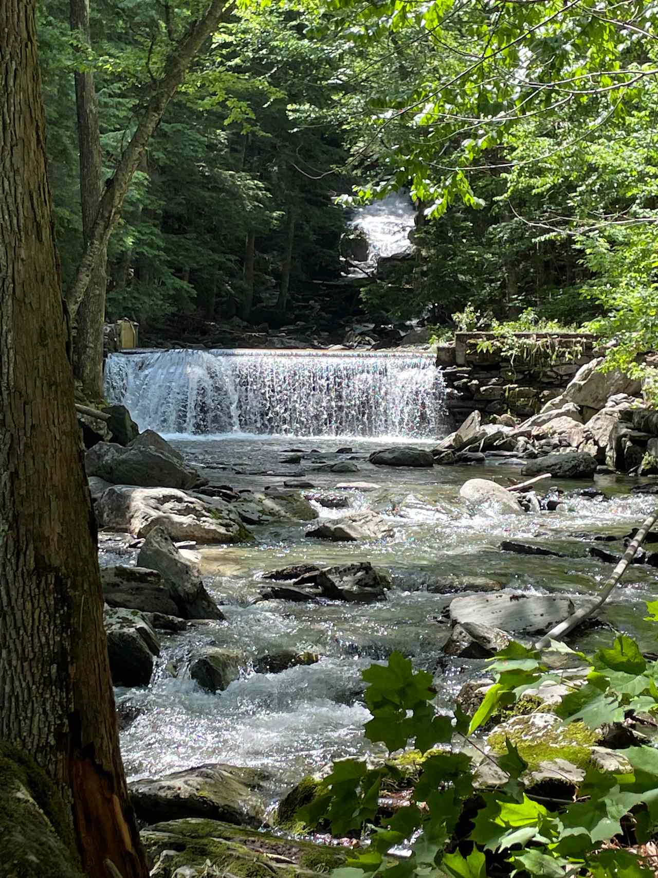 The Hollow at Dynamite Falls