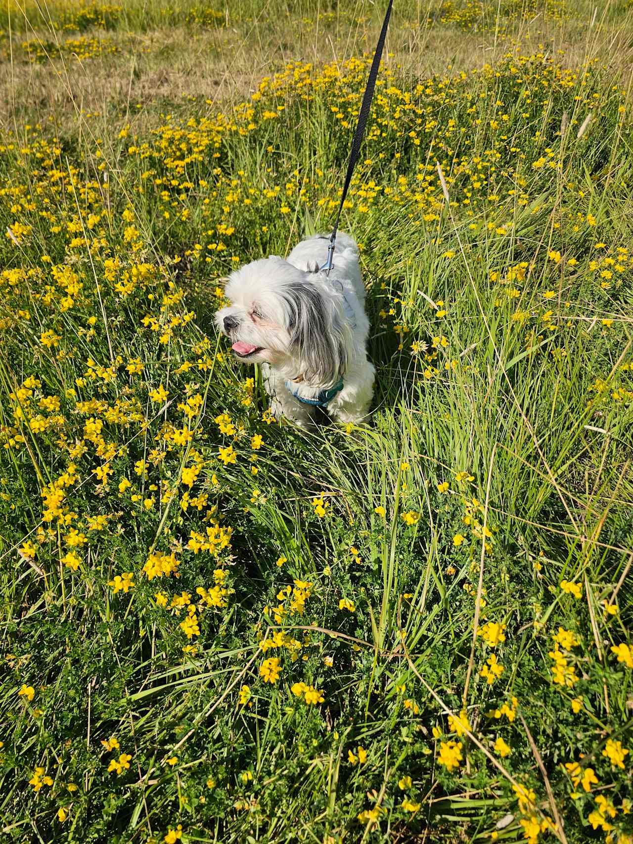 field area by our RV