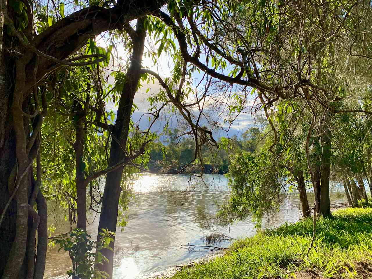 Riverlea Green,  Nambucca Valley