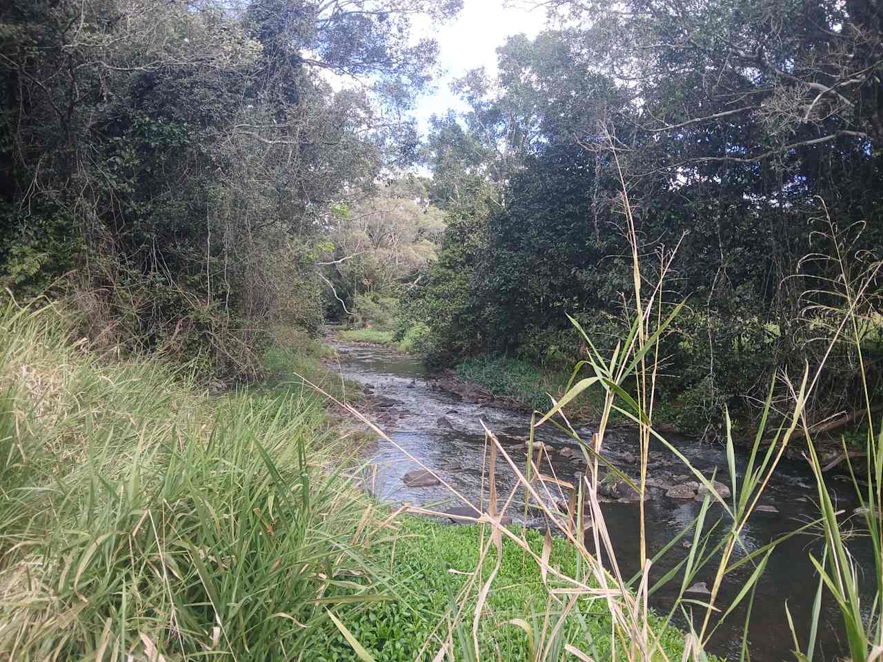 Malanda Stream Private Camping.