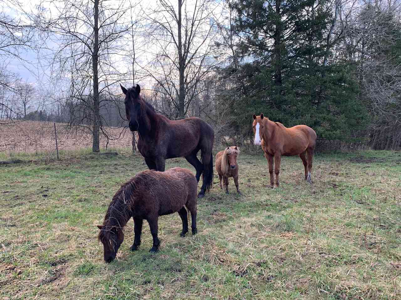 Organic Farm Sanctuary Spa