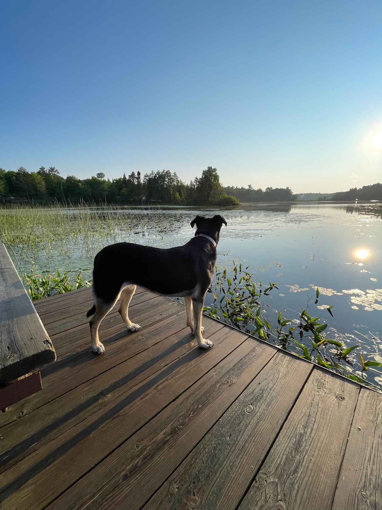 Presque Isle Campground