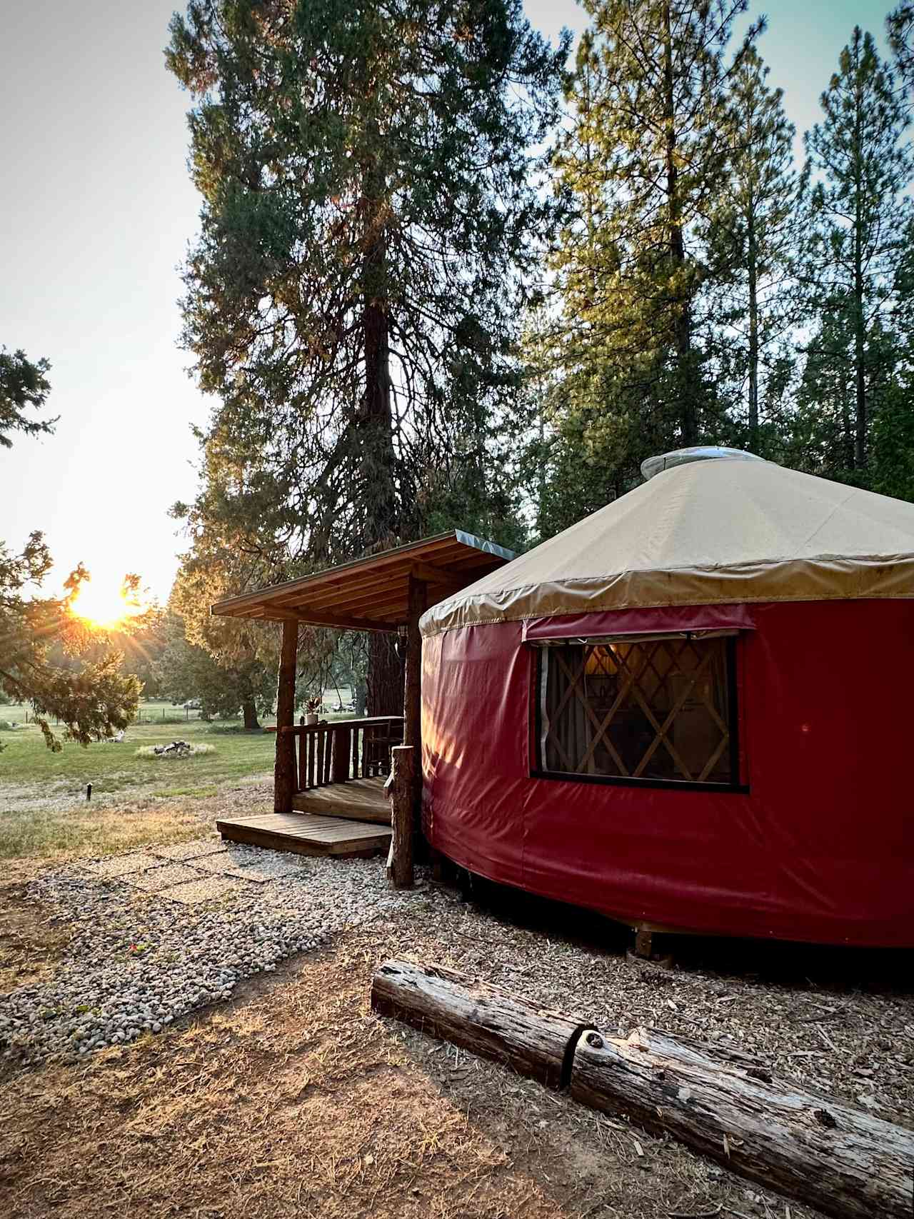 Luxury Yurt @ Lazy Dog Ranch