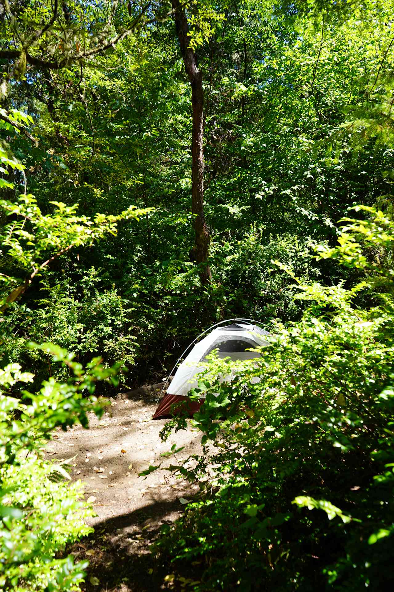 Rain Moon Sun Sanctuary - Photo 3