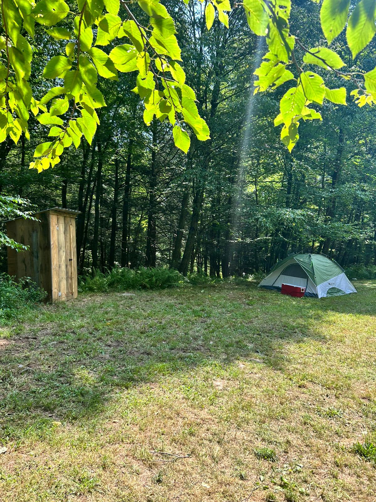 Rocky Top Farm's Shady Meadow