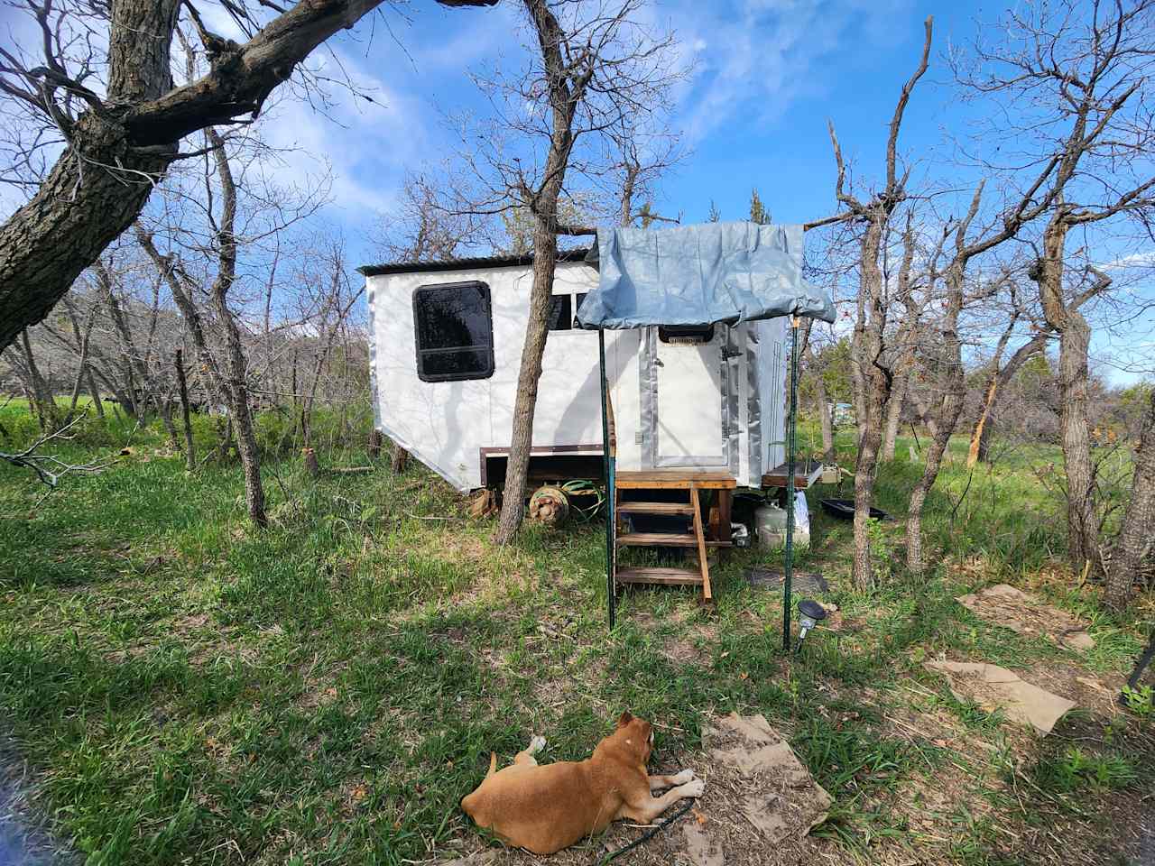 Klepto Crow Farm