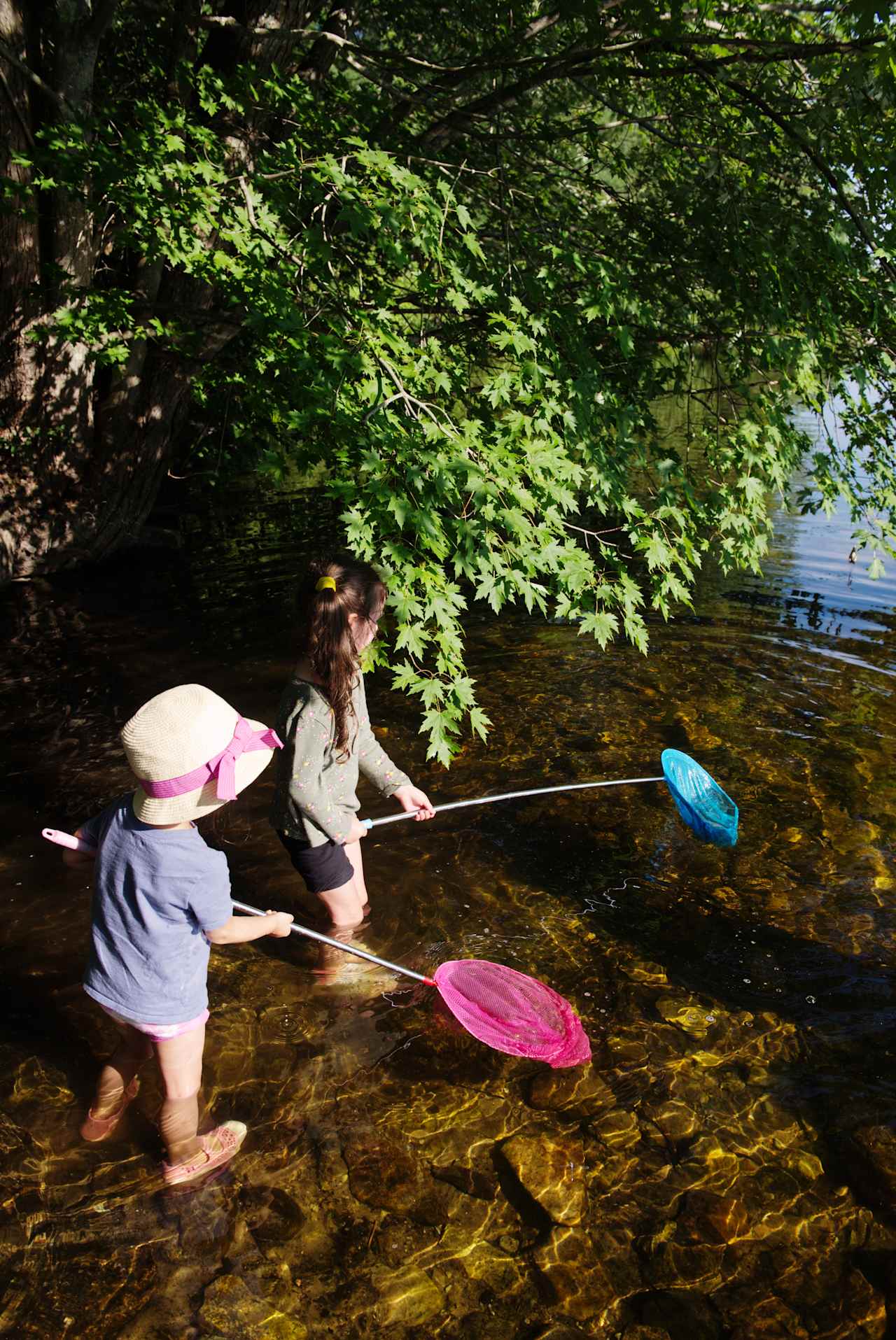 Kids catching stuff in the river