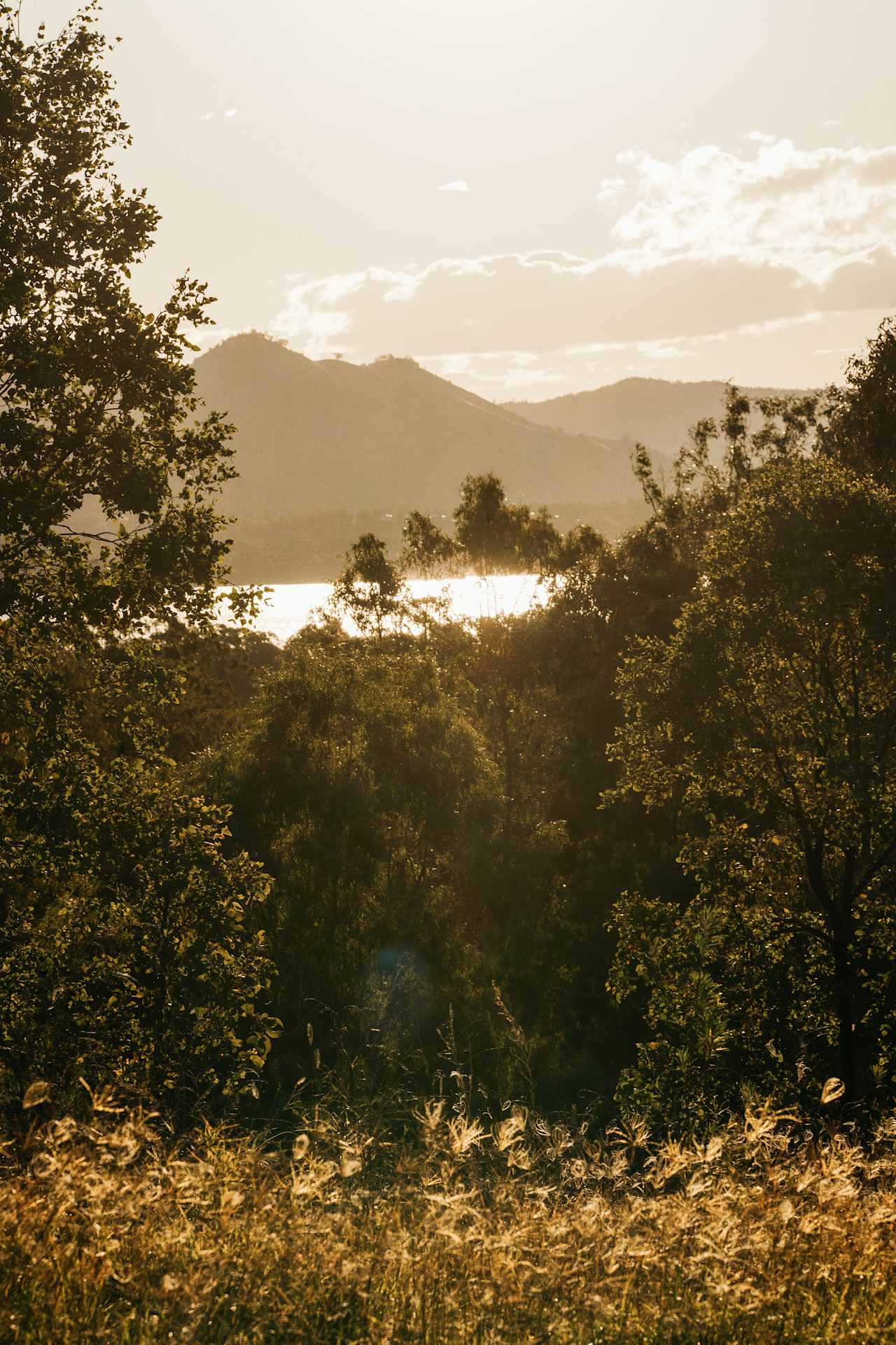 views of the lake from the track to the campsite