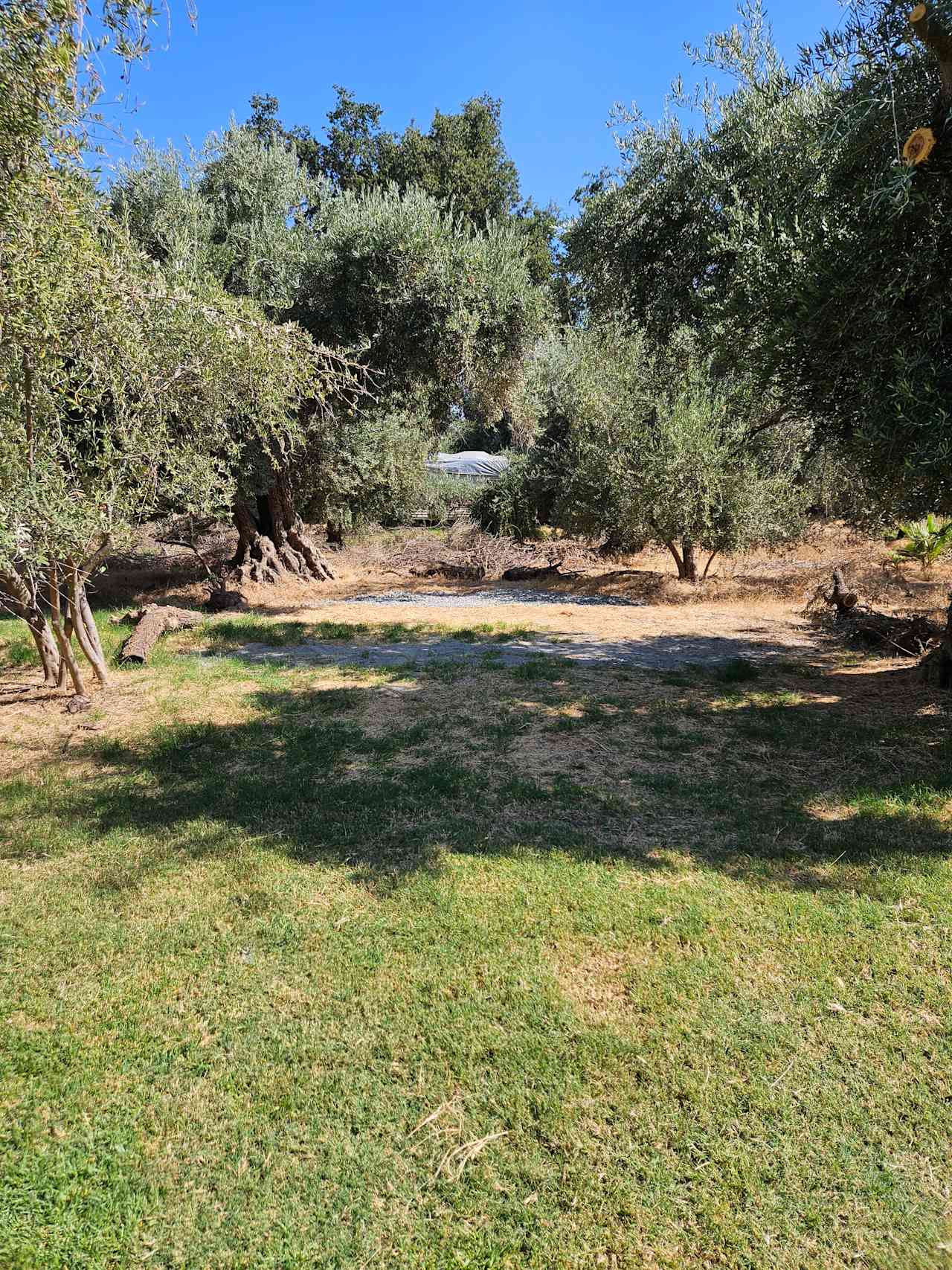 Blue Moon Orchard Retreat