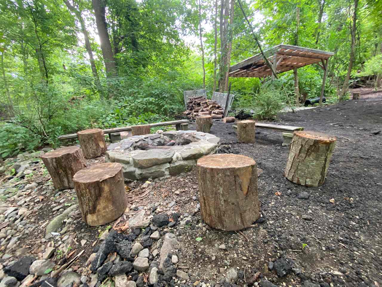Bare Camping