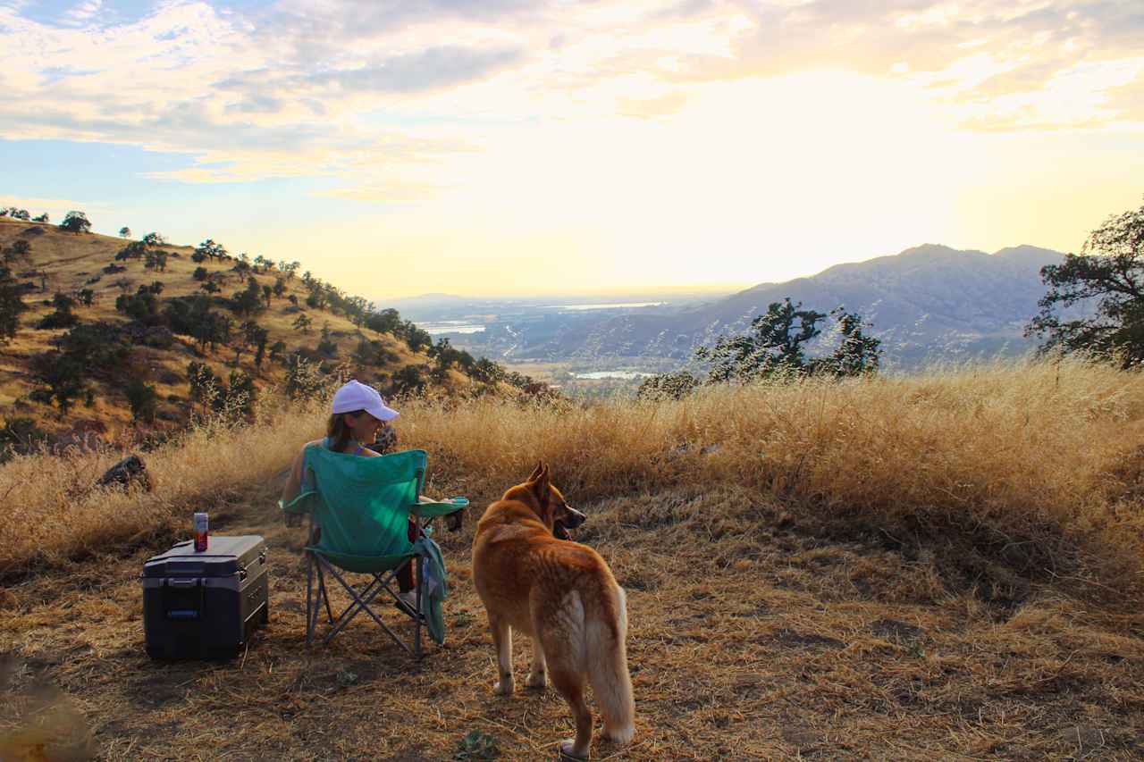 Taking in the view 