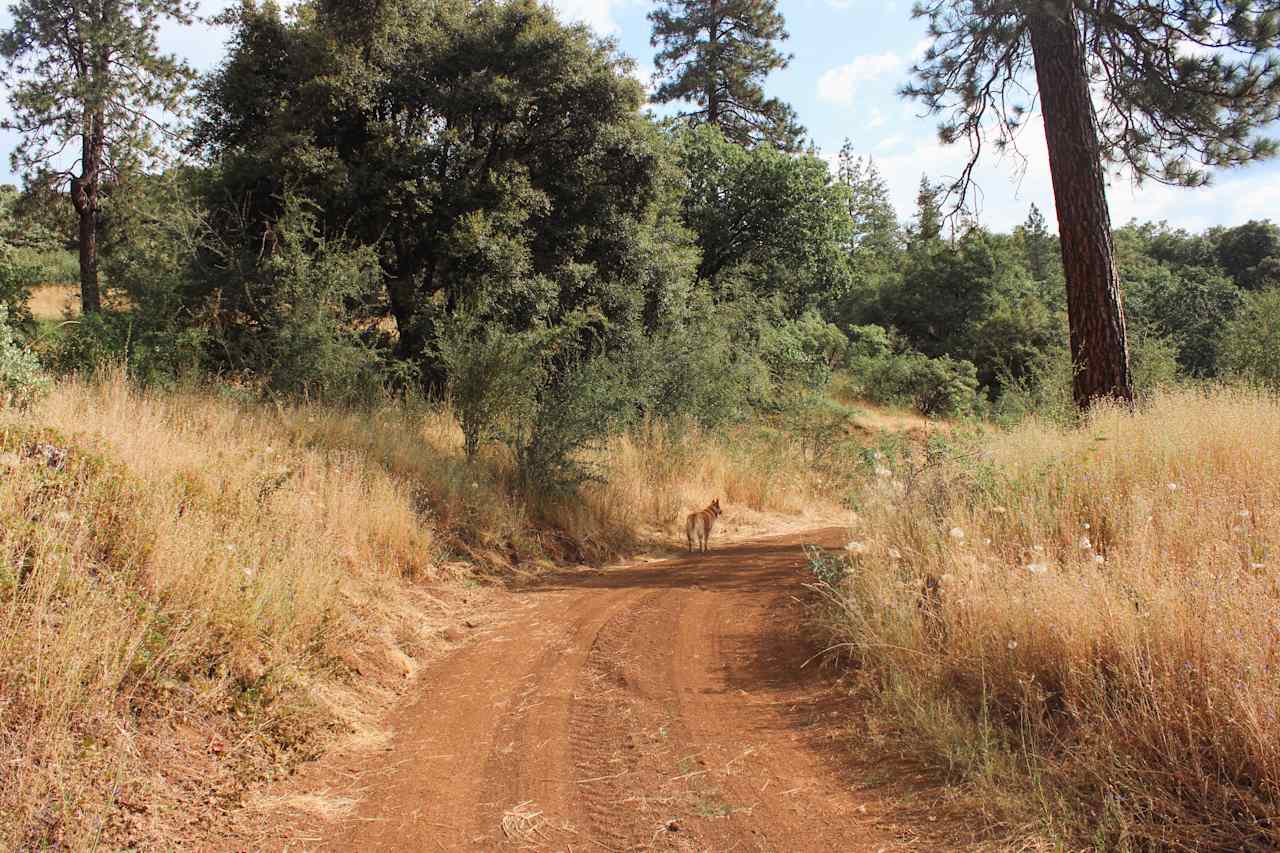 The road is super flat and accessible 