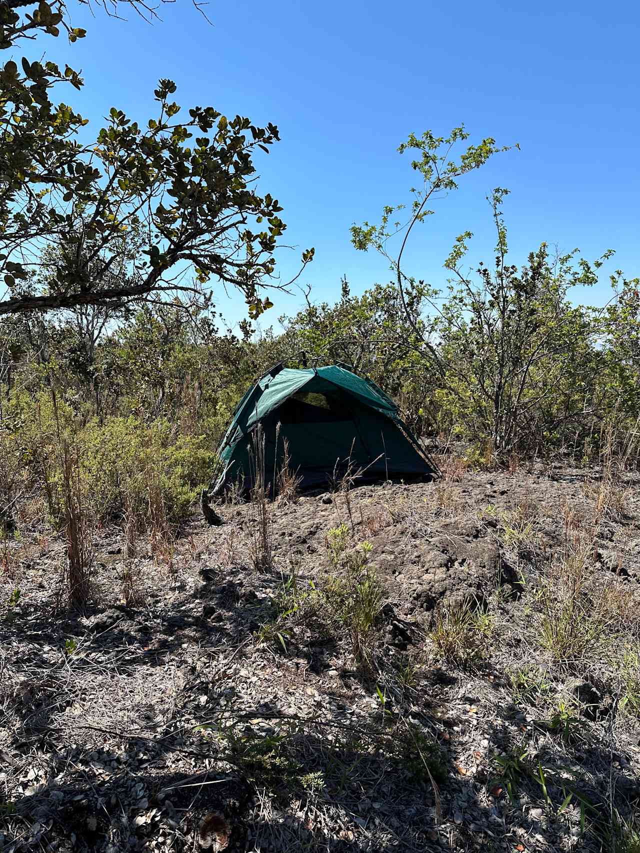 Captain Cooks Lava Tube Camp/cabins